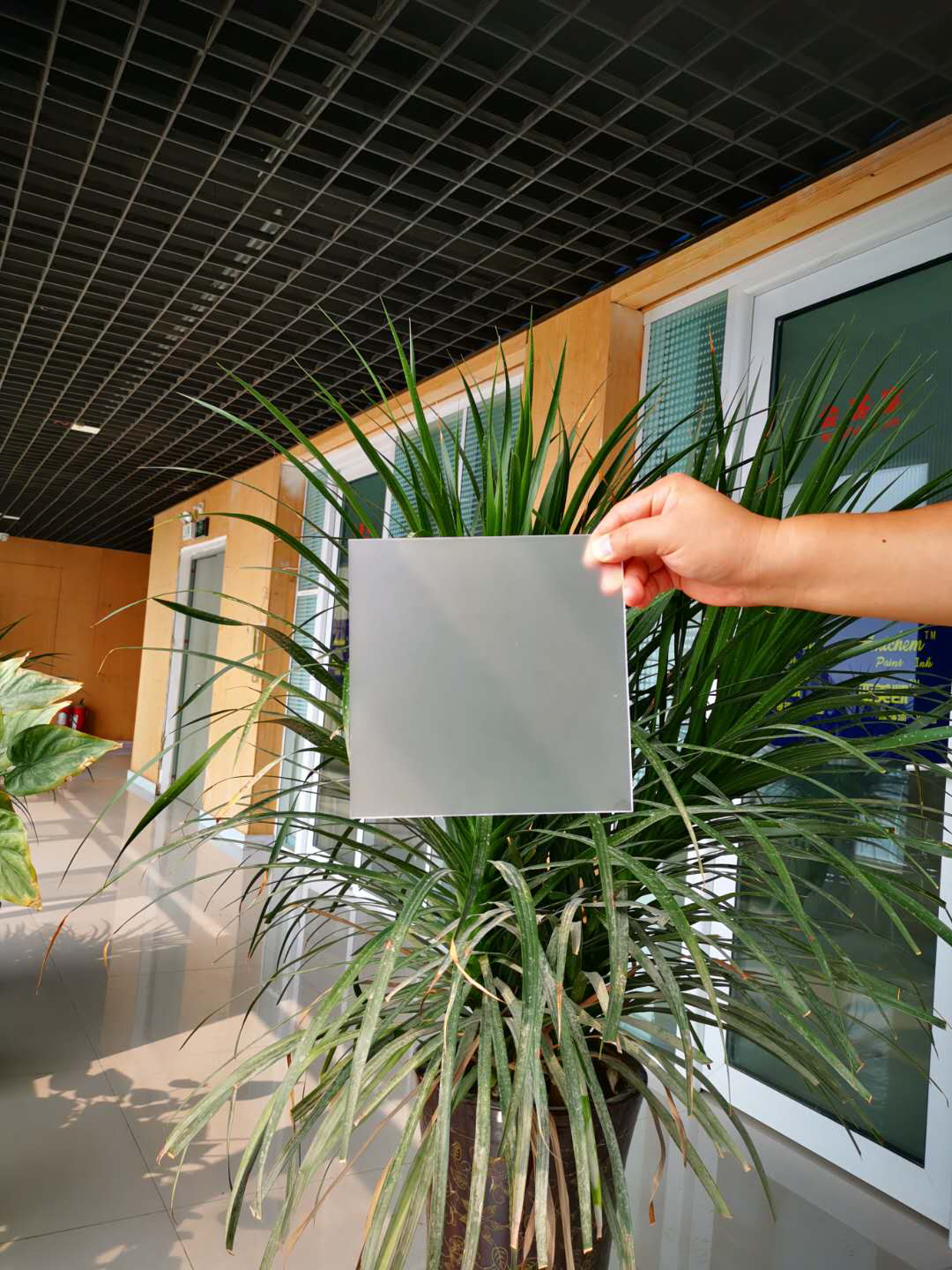 1683794609100522.png 1602825315671560.png